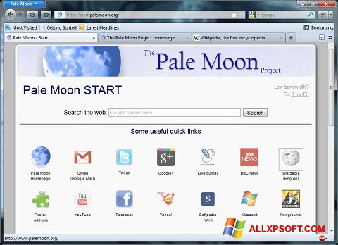 צילום מסך Pale Moon Windows XP