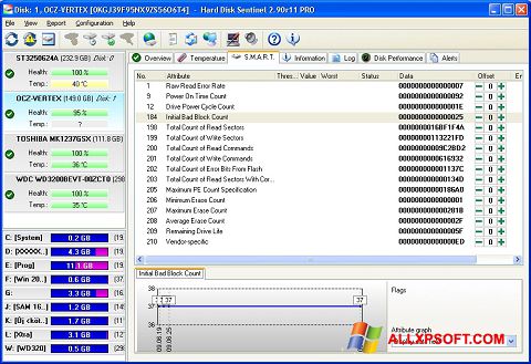 צילום מסך Hard Disk Sentinel Windows XP
