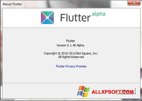 צילום מסך Flutter Windows XP