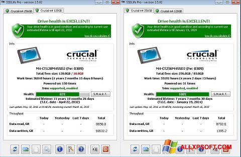 צילום מסך SSDLife Windows XP