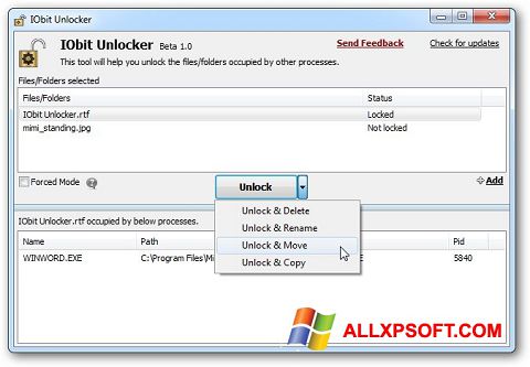 צילום מסך IObit Unlocker Windows XP