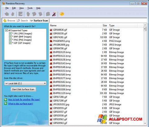 צילום מסך Pandora Recovery Windows XP
