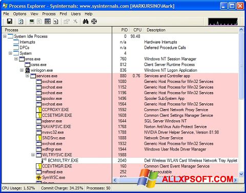 צילום מסך Process Explorer Windows XP