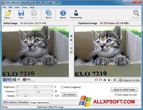 צילום מסך RIOT Windows XP