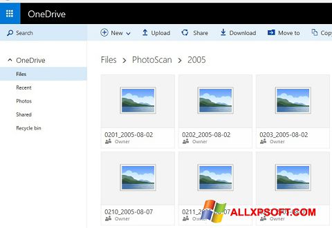 צילום מסך OneDrive Windows XP