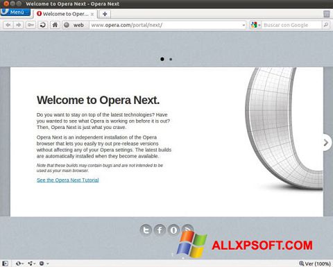 צילום מסך Opera Developer Windows XP